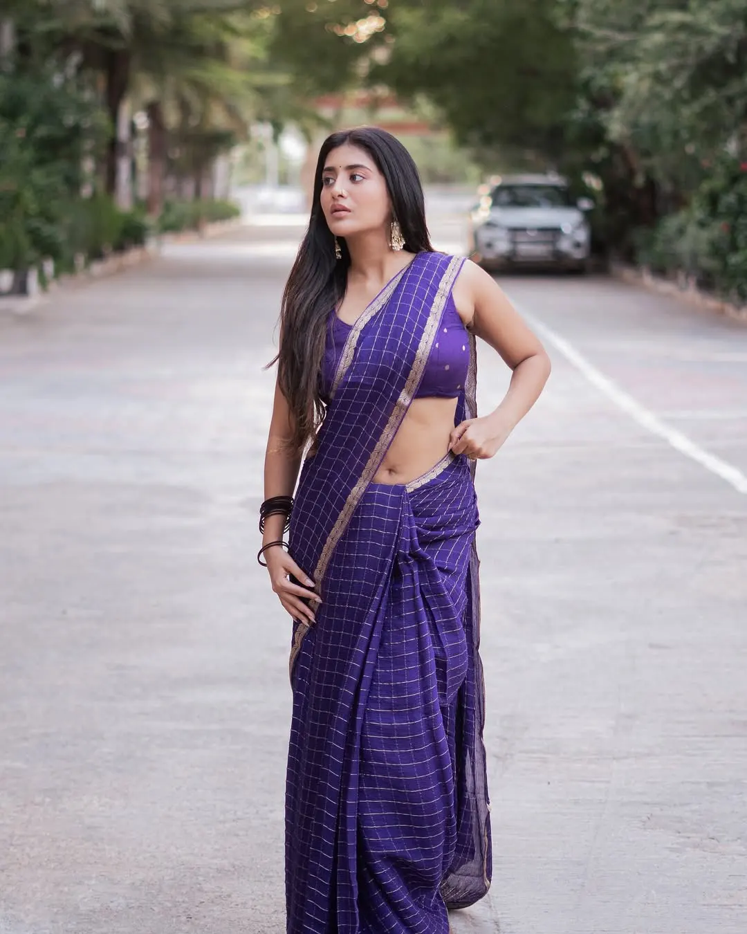 Raashi Singh Shows her Beauty in Saree