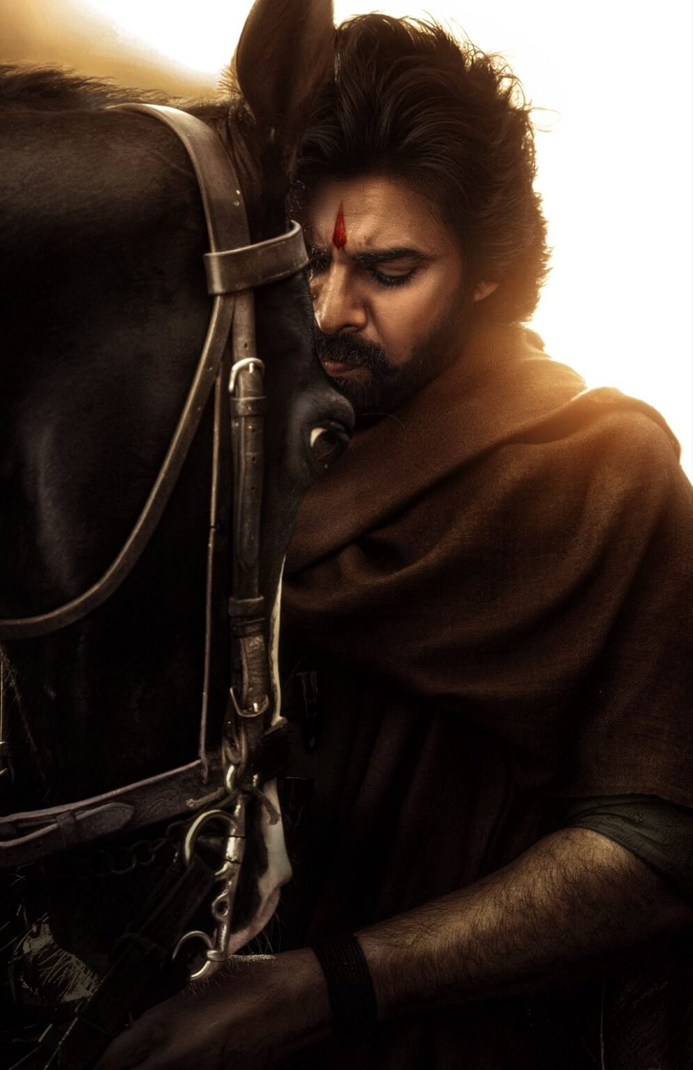 Pawankalyan Hariharaveeramallu movie posters1