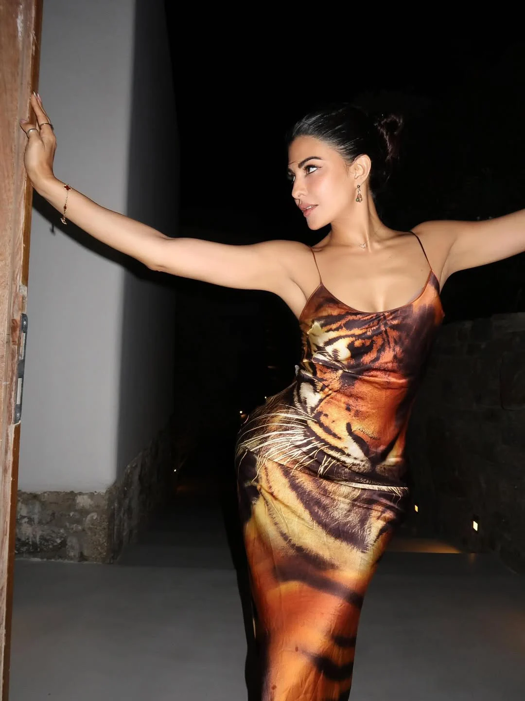 Jacqueline Fernandez Looks in Tiger Design Dress