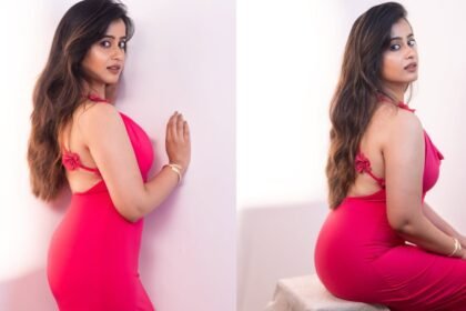 Sheetal Gauthaman Shows her Beauty in Tight fit Dress