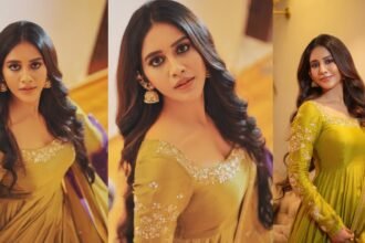 Nabha Natesh Simple Looks on Dasara