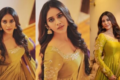 Nabha Natesh Simple Looks on Dasara