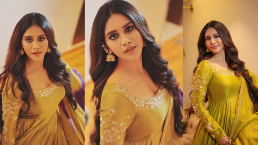 Nabha Natesh Simple Looks on Dasara