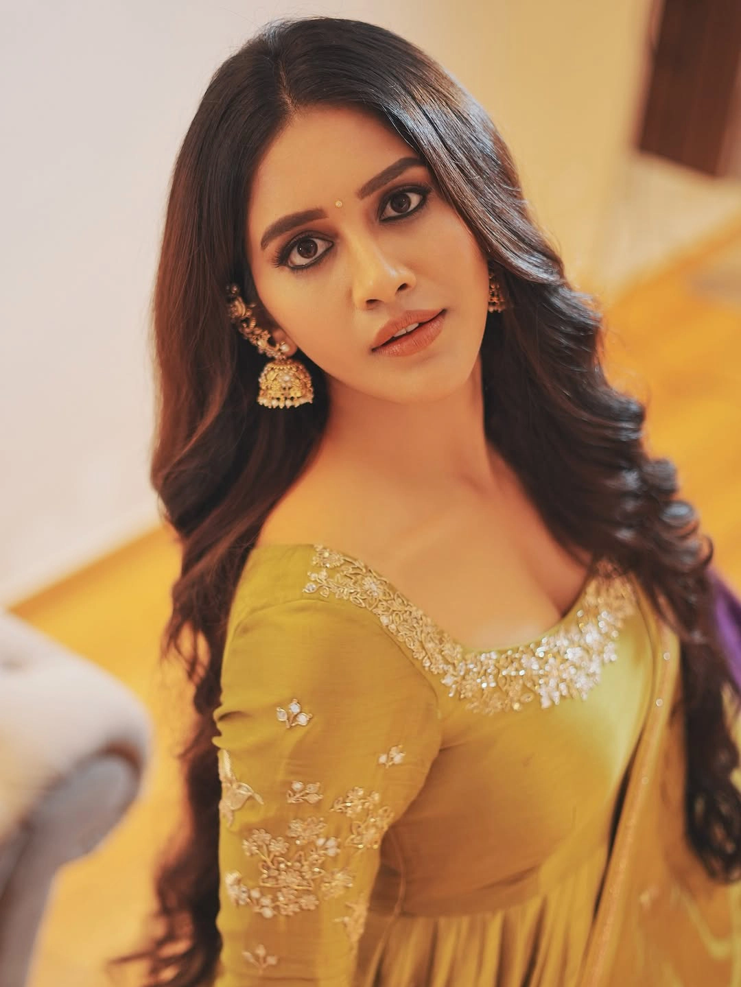 Nabha Natesh Simple Looks on Dasara