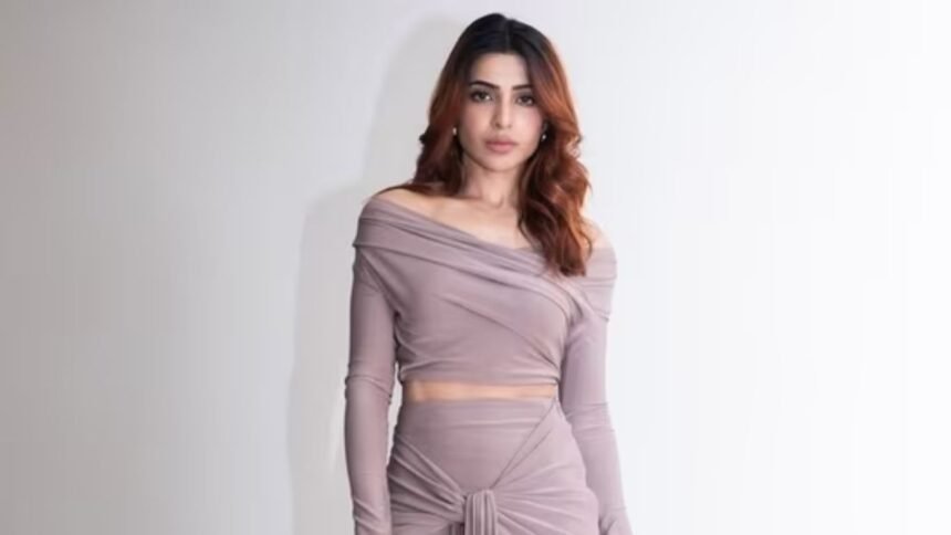 Samantha Maa inti Bangaram Shoot Started