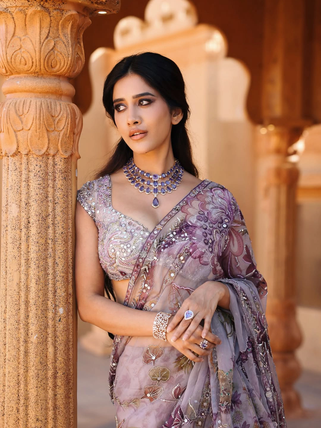 Nabha Natesh Shines in Thin Saree