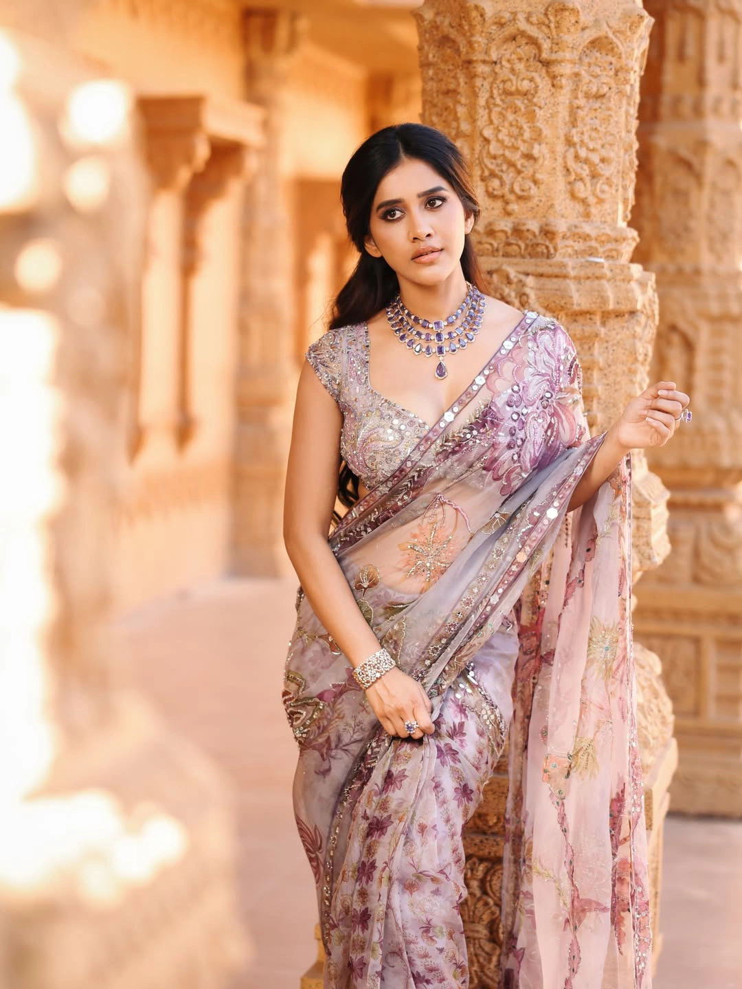 Nabha Natesh Shines in Thin Saree