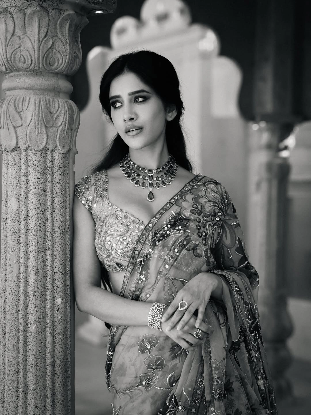 Nabha Natesh Shines in Thin Saree