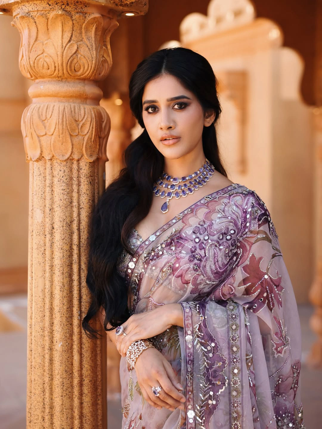Nabha Natesh Shines in Thin Saree