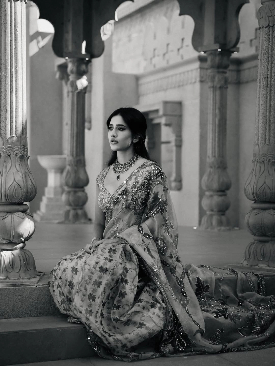 Nabha Natesh Shines in Thin Saree