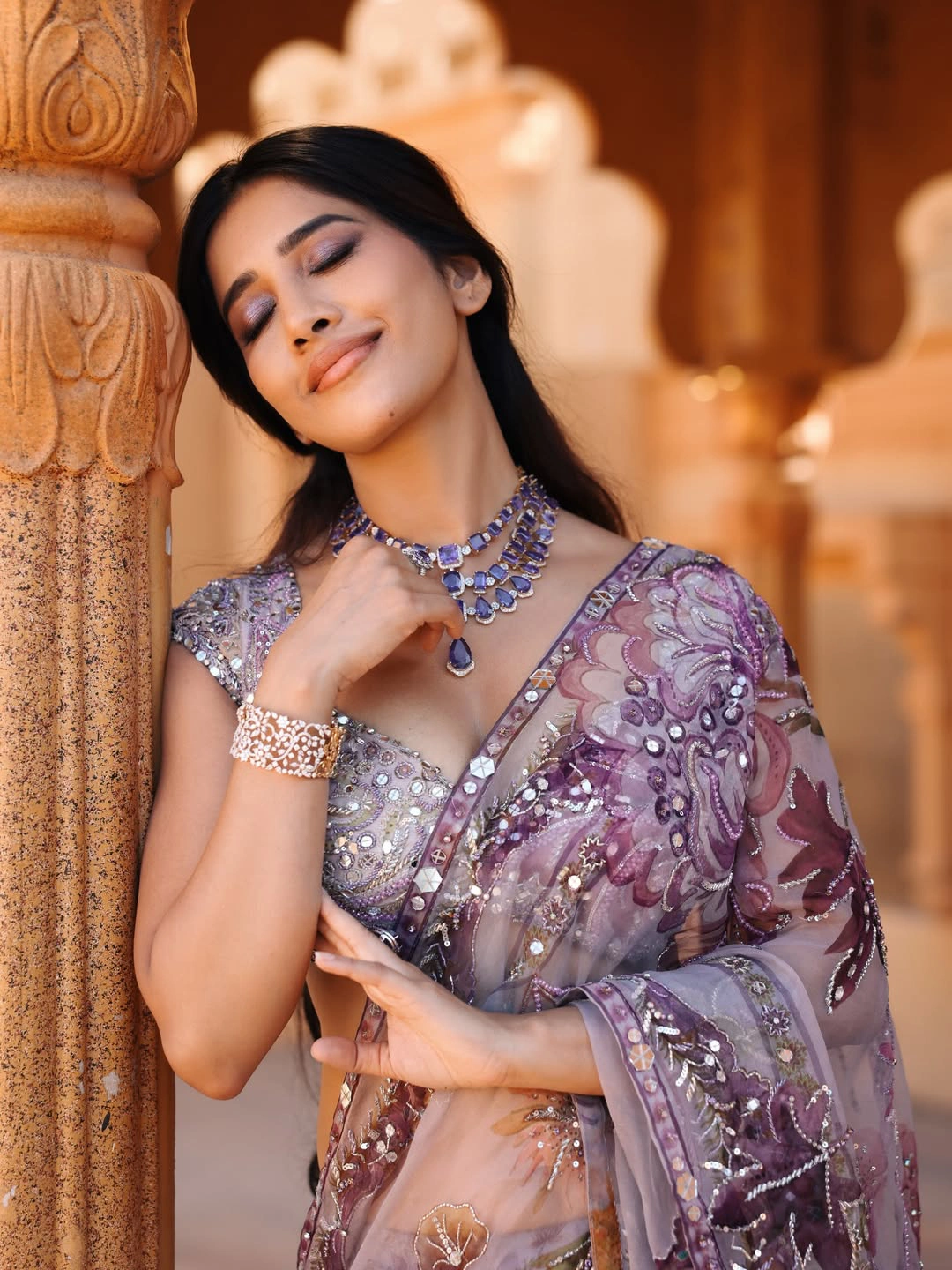 Nabha Natesh Shines in Thin Saree