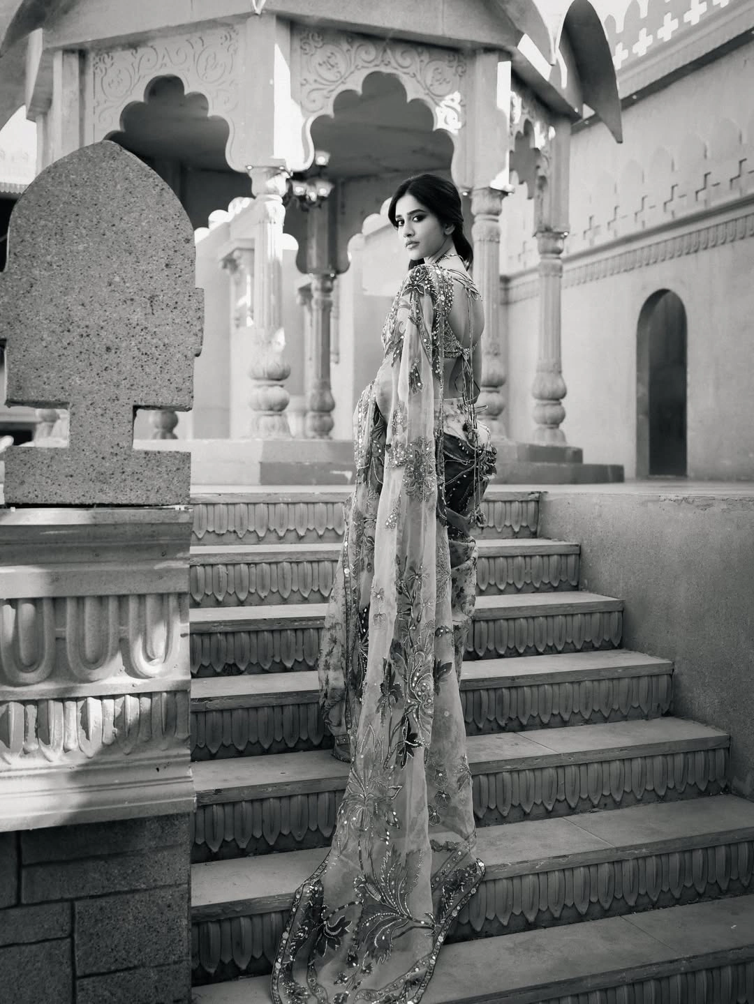 Nabha Natesh Shines in Thin Saree