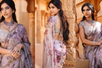 Nabha Natesh Shines in Thin Saree