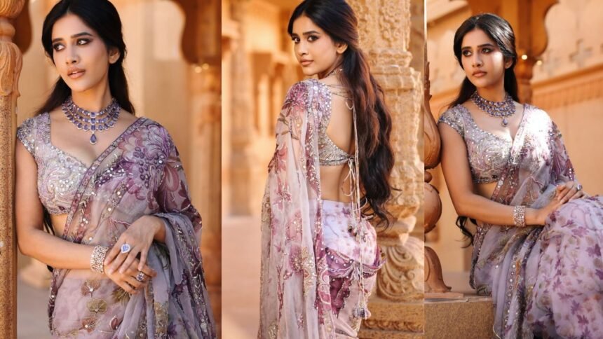 Nabha Natesh Shines in Thin Saree