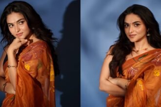 Kayadu Lohar Cute Photos in Saree