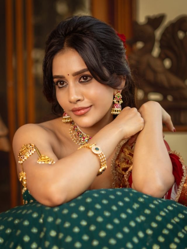Nabha Natesh Photo news 2