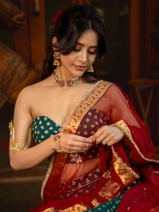 Nabha Natesh Pics 2026 News