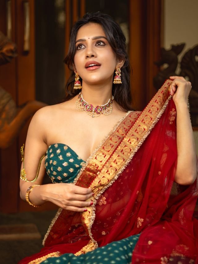 Nabha Natesh Pics 2026