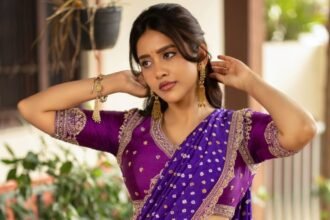 Nabha Natesh