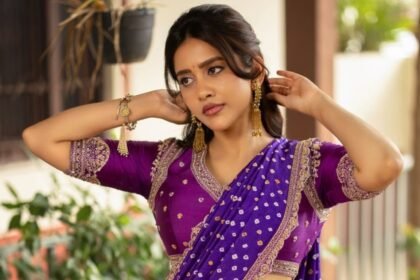 Nabha Natesh