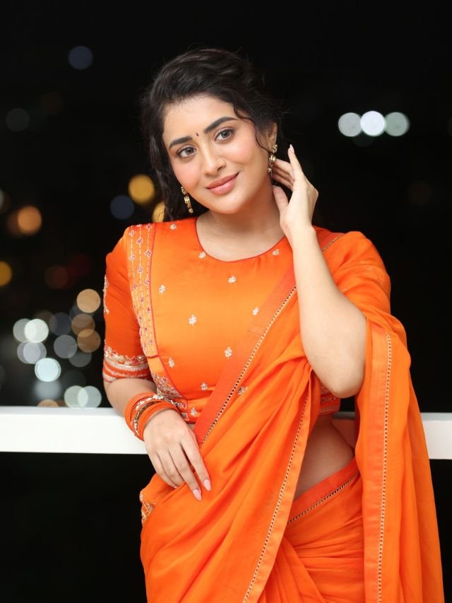 హీరోయిన్ రాశీసింగ్ బ్యూటీఫుల్ ఫోటోలు 12 Heroine Rashi Singh (10)
