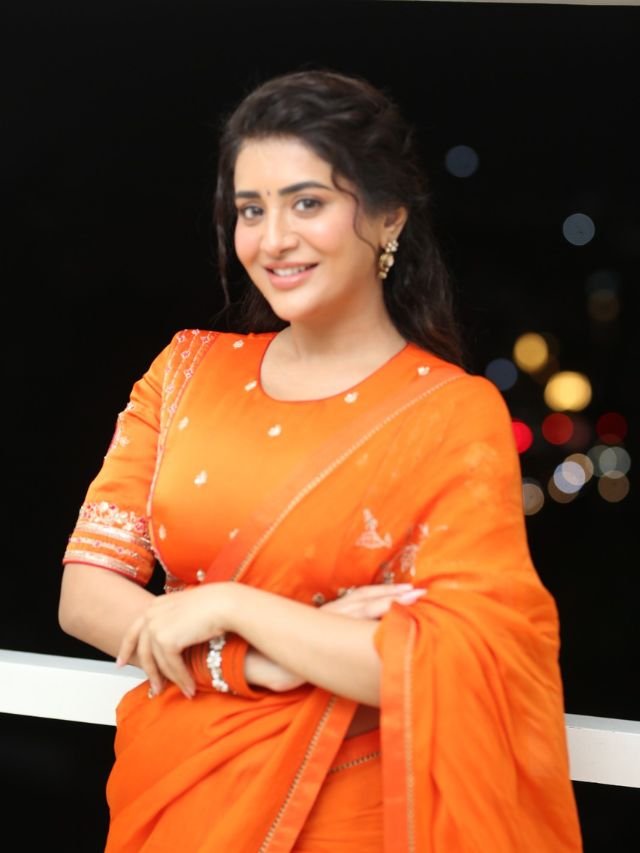 హీరోయిన్ రాశీసింగ్ బ్యూటీఫుల్ ఫోటోలు 11 Heroine Rashi Singh (9)